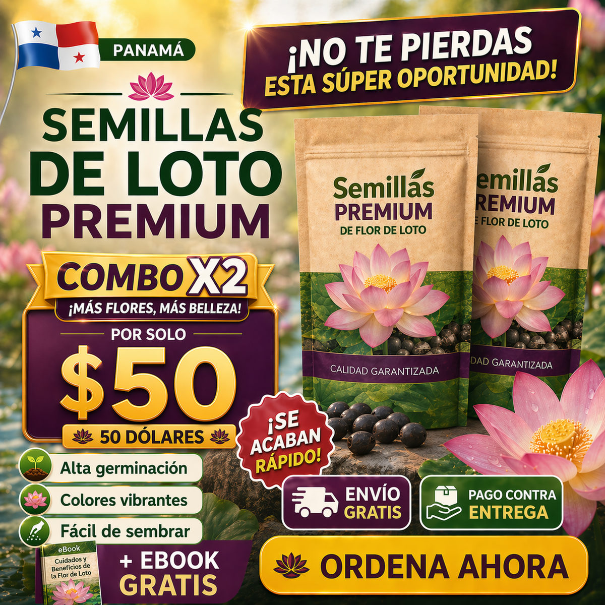 Semillas de Loto Premium 🌸 🌸